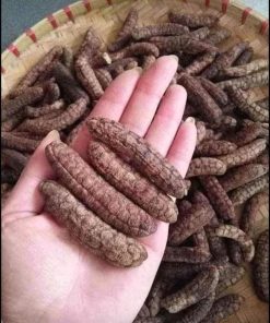 Chuối hột rừng nguyên quả bóc vỏ chín khô