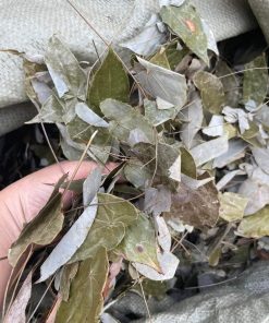 Lá Dâm Dương Hoắc Khô 500g